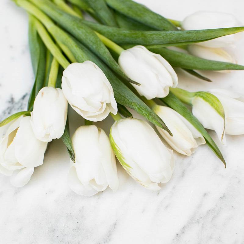 Top Wedding Flowers for the Season from Jet Set Planning featured on Nashville Bride Guide