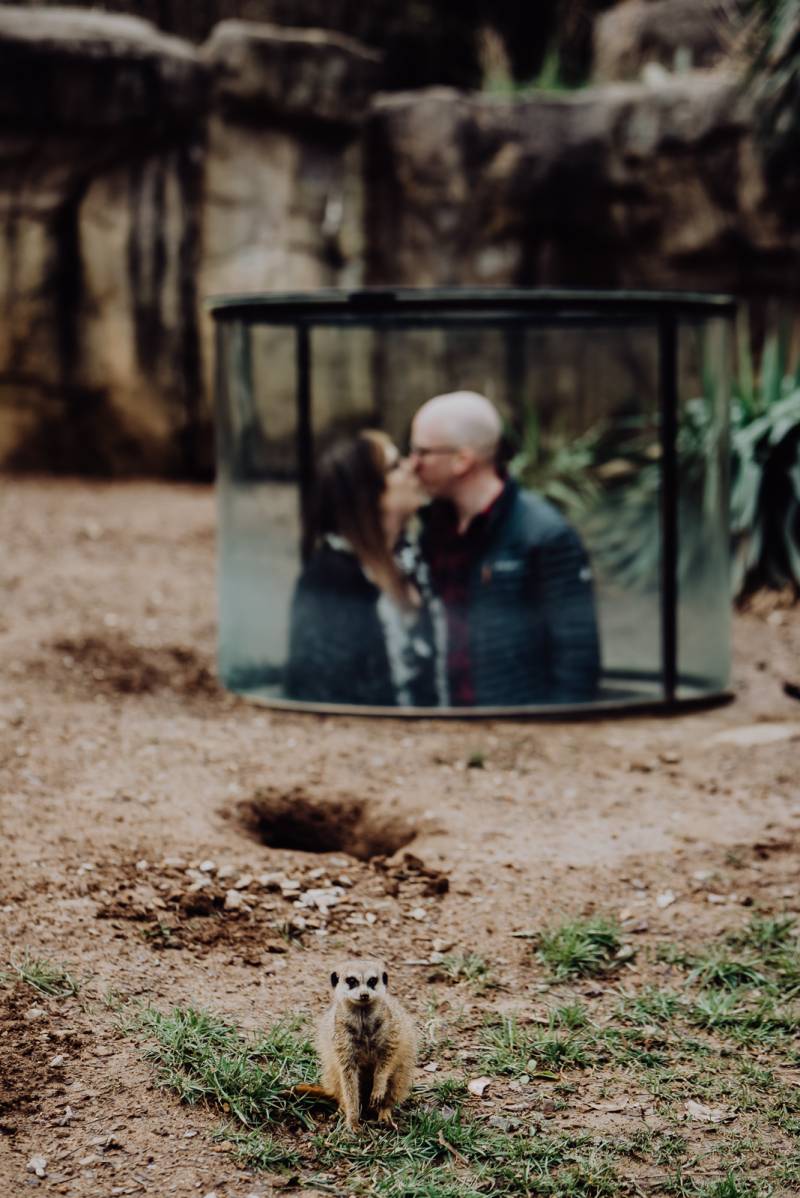 Nashville Zoo engagement session by Wilde Company featured on Nashville Bride Guide