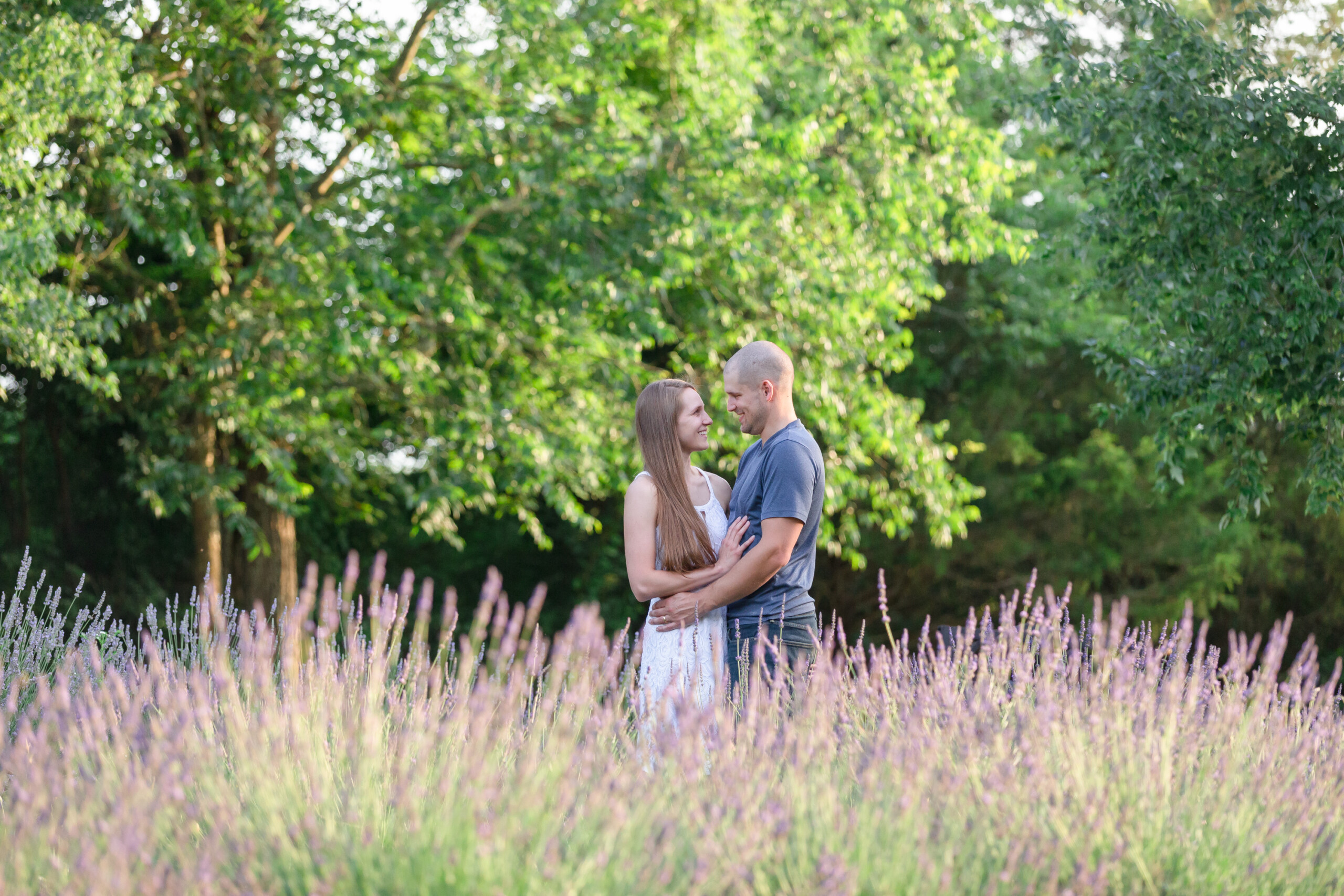 Menkveld Farm: Offering Lavender Bouquets and Wedding Gifts