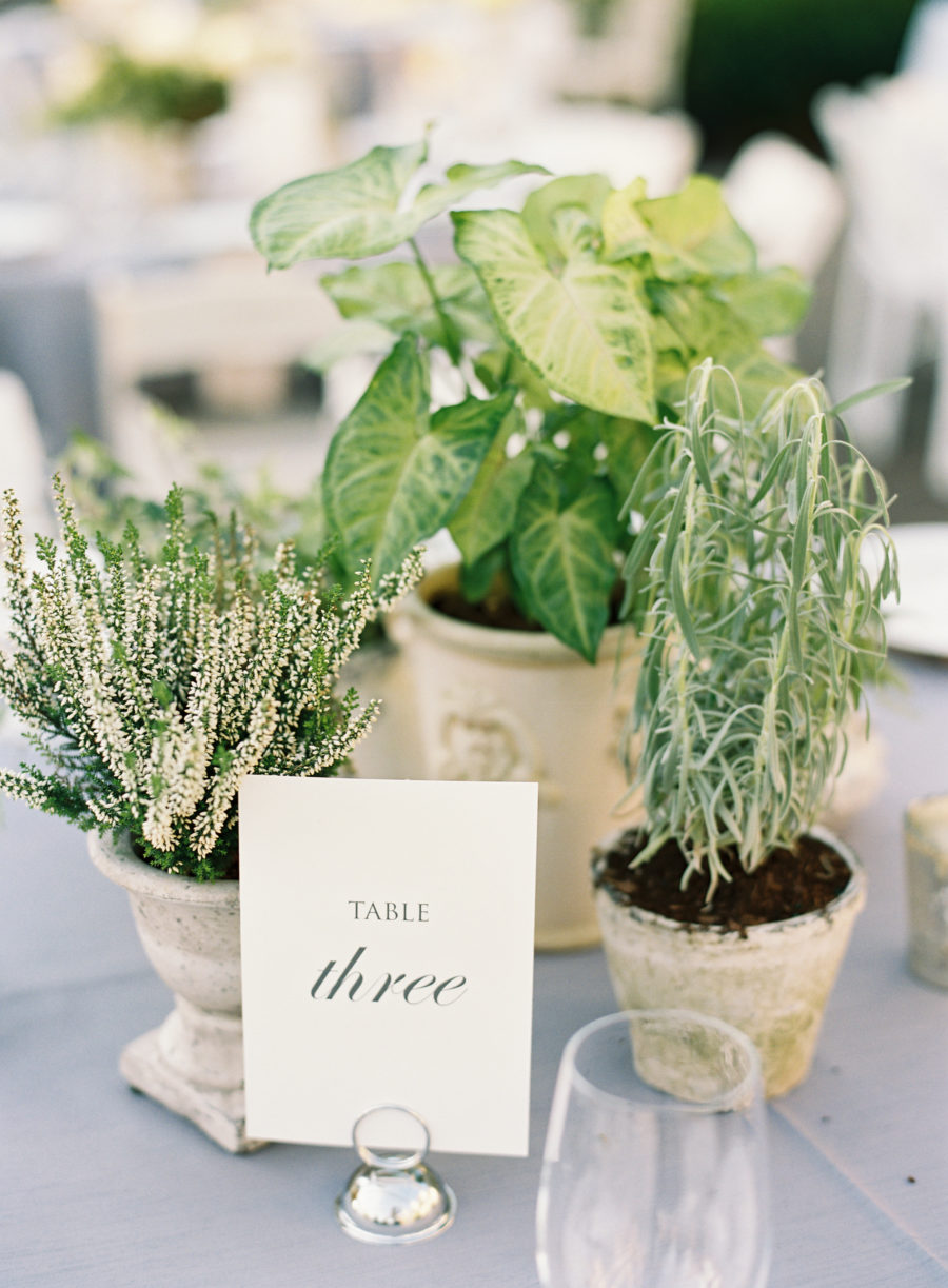Potted plants wedding centerpieces