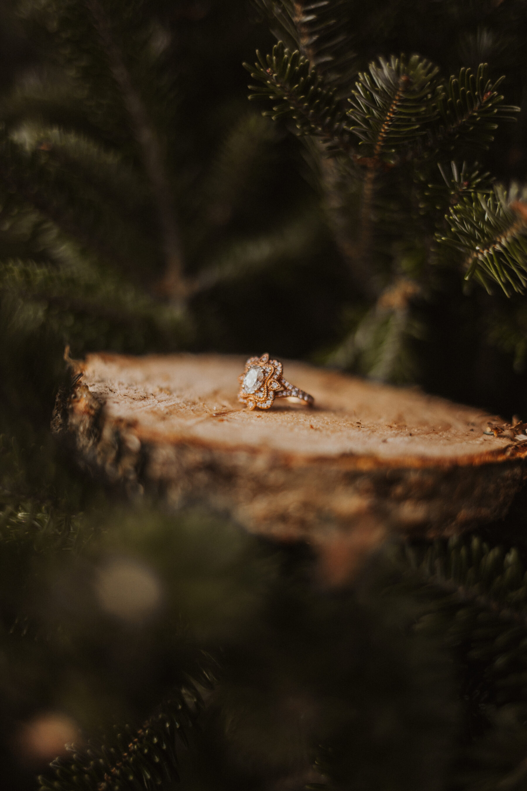 Stylish Santa's Tree Farm Engagement Session captured by Hannah Kerr Photography featured on Nashville Bride Guide