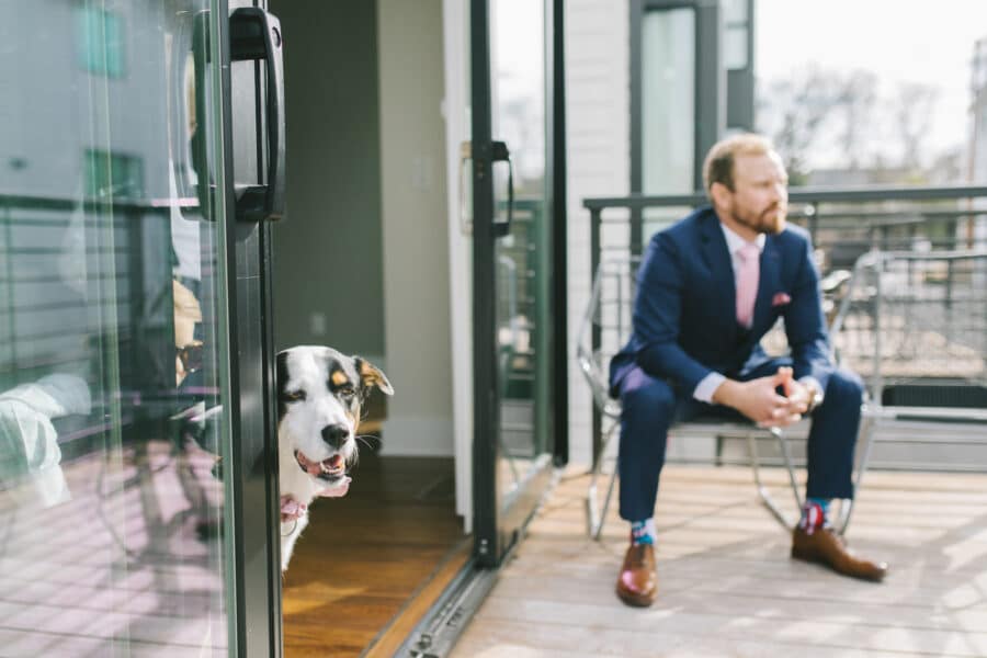 Pet Dog Wedding Party Member | Nashville Bride Guide
