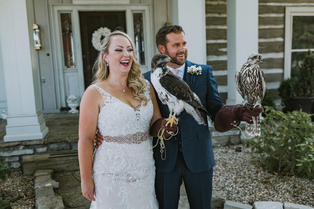 Falcon at wedding ceremony