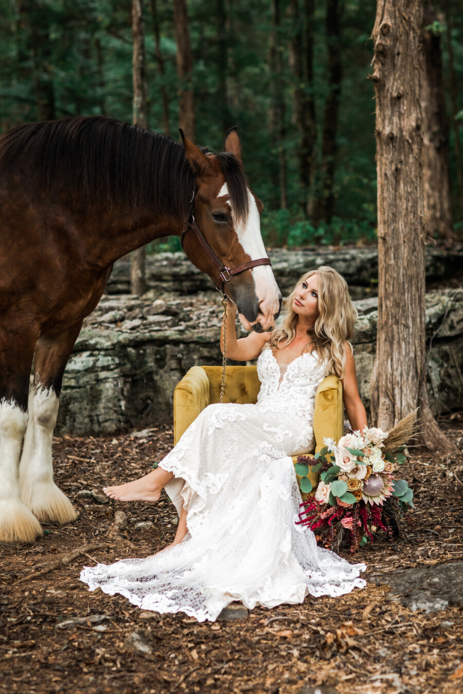 Saddle Woods Farm horse at wedding