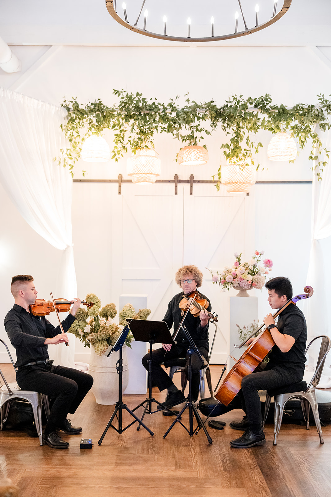 Viva La Strings Nashville Wedding Musician