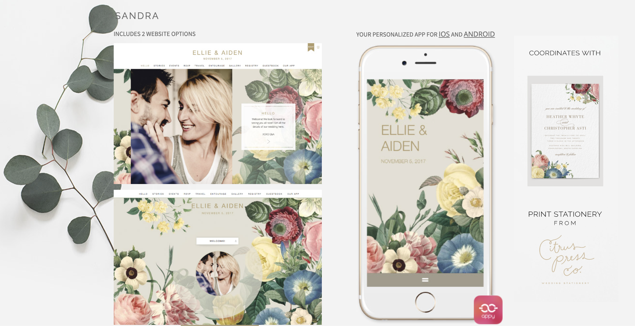 The Best Wedding Website Platforms for Couples