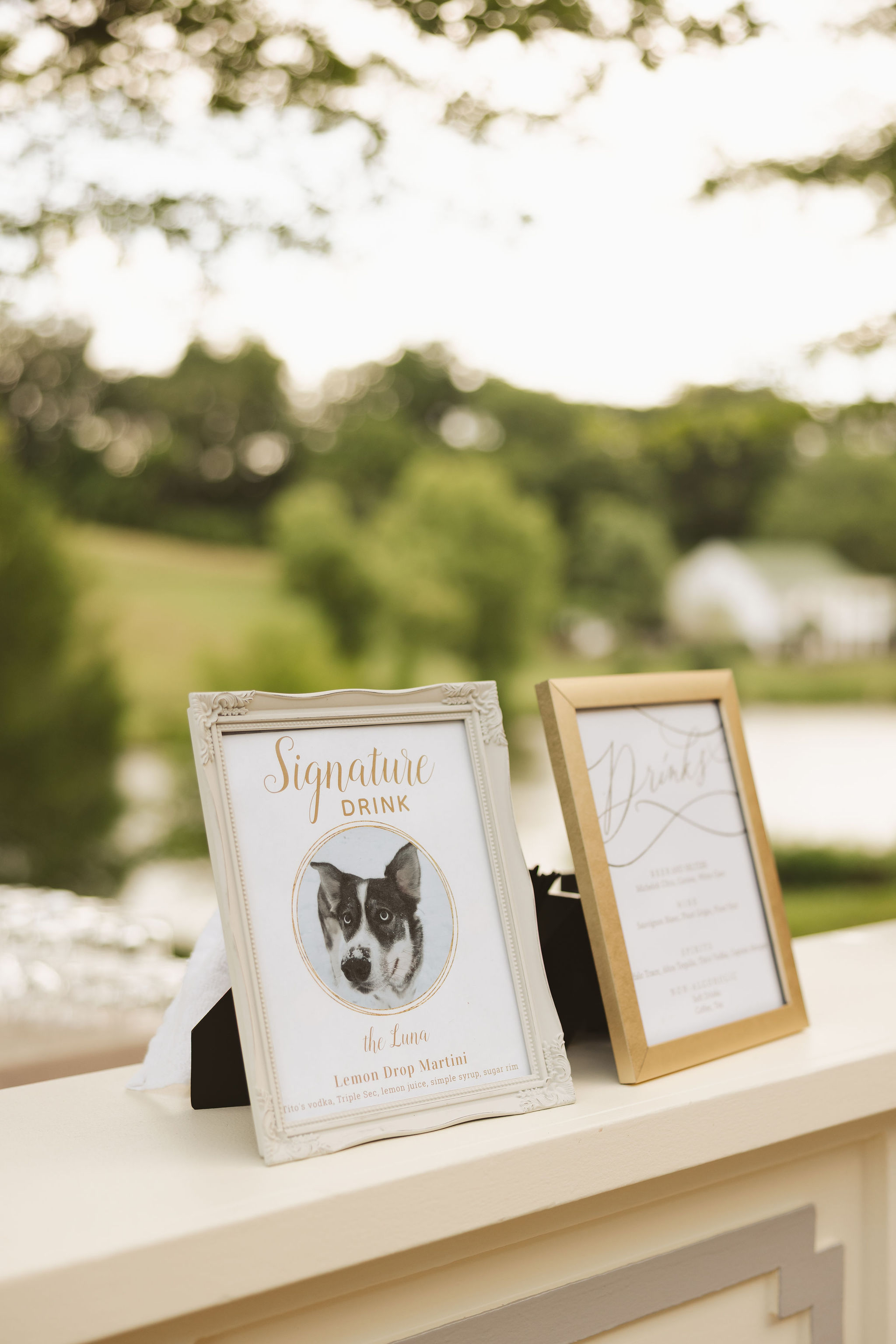 Whimsical DIY Wedding at Mint Springs Farm