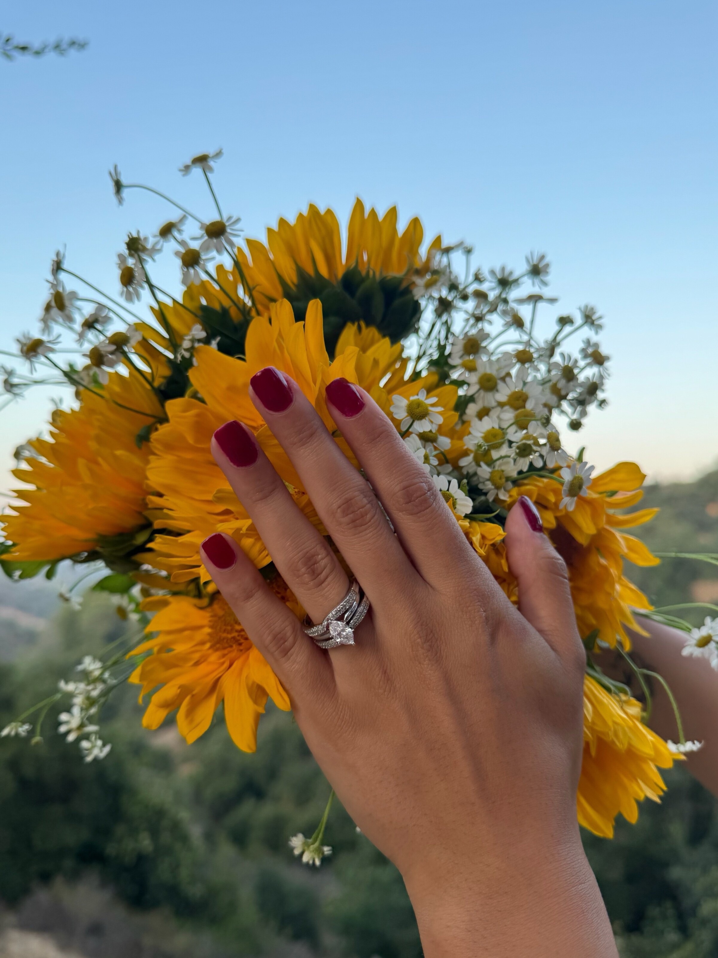 Angel Cintron Engagement The Wedding Reporter Podcast