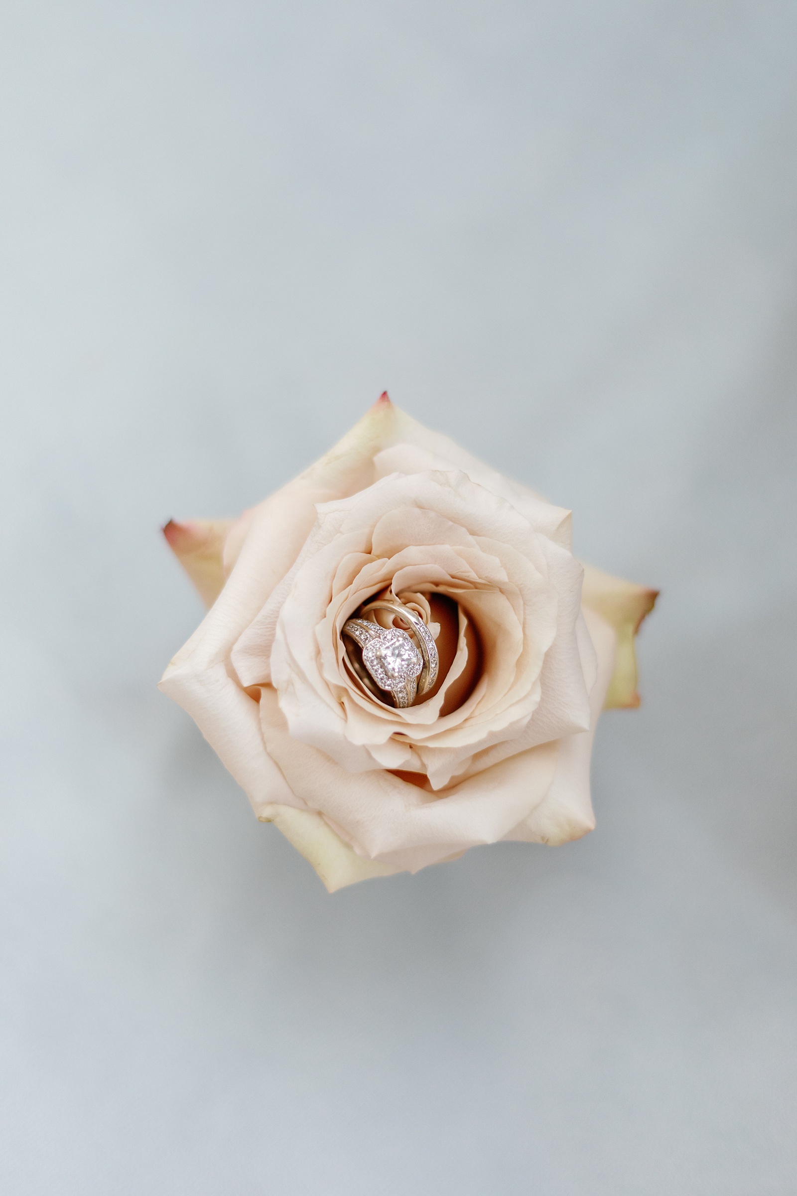 east nashville wedding inspired by lotus darien photography 17 - Lotus-Inspired Styled Shoot in the Heart of East Nashville East Nashville Lotus Inspired Wedding at Wilburn Street Studio