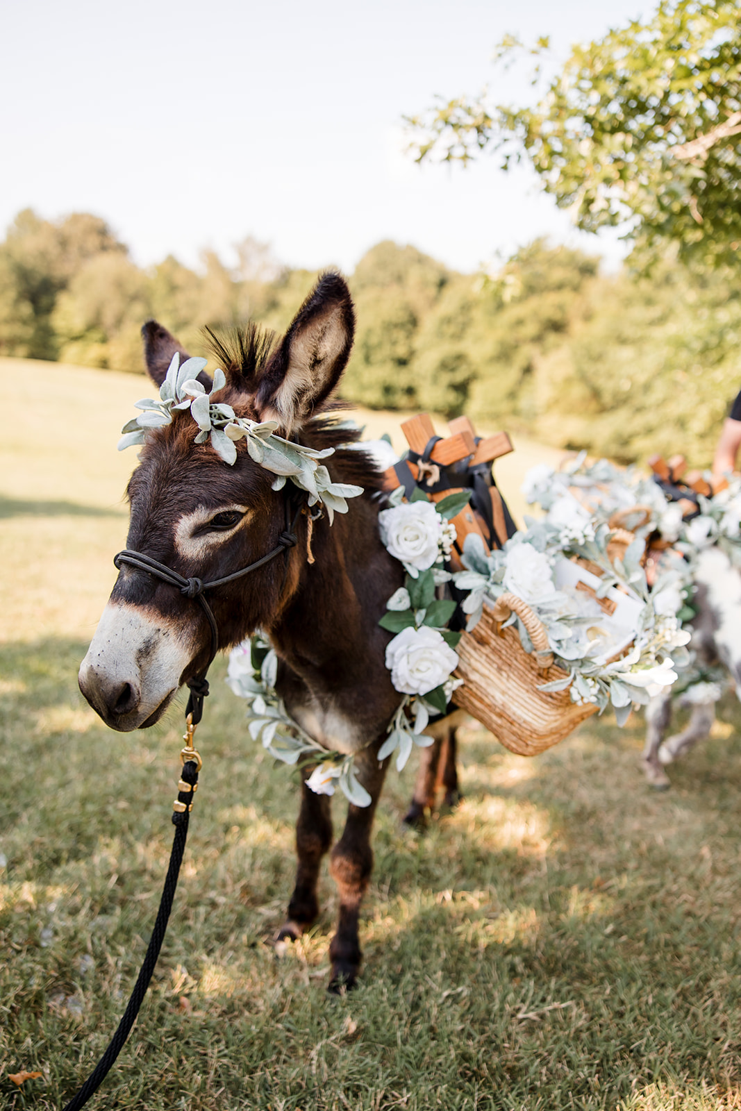 Chic Farm Wedding in Nashville John Myers Photography