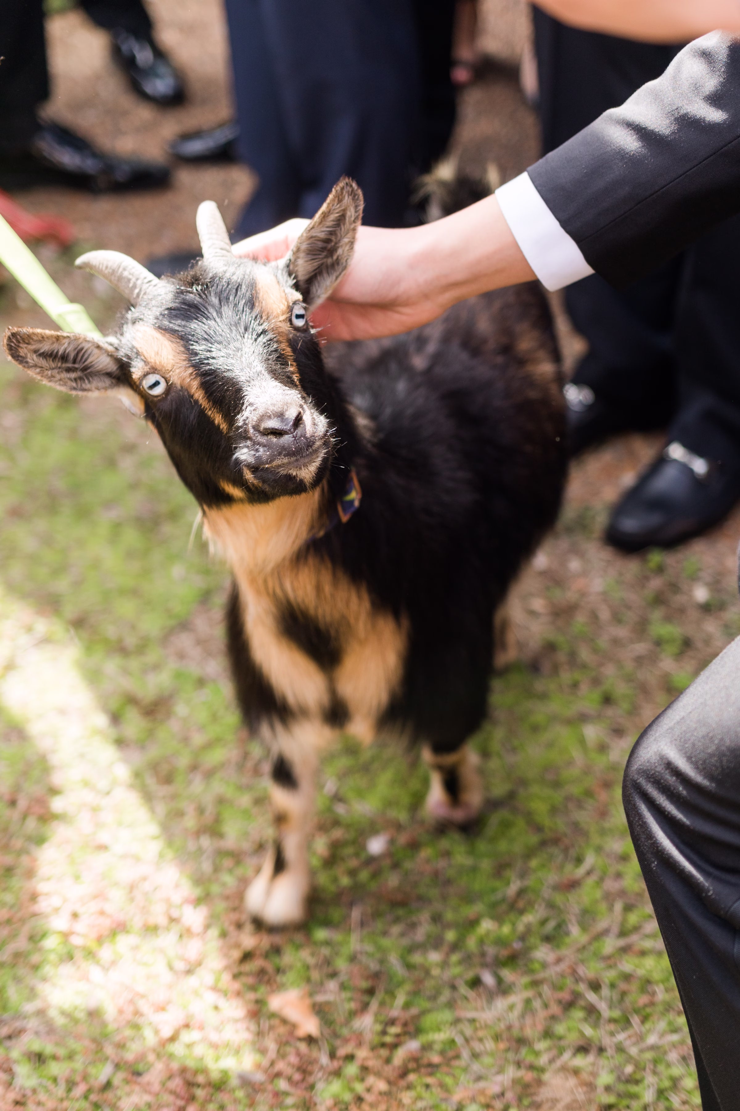 Modern Serbian Wedding at The Bell Tower Rebecca Musayev Photography