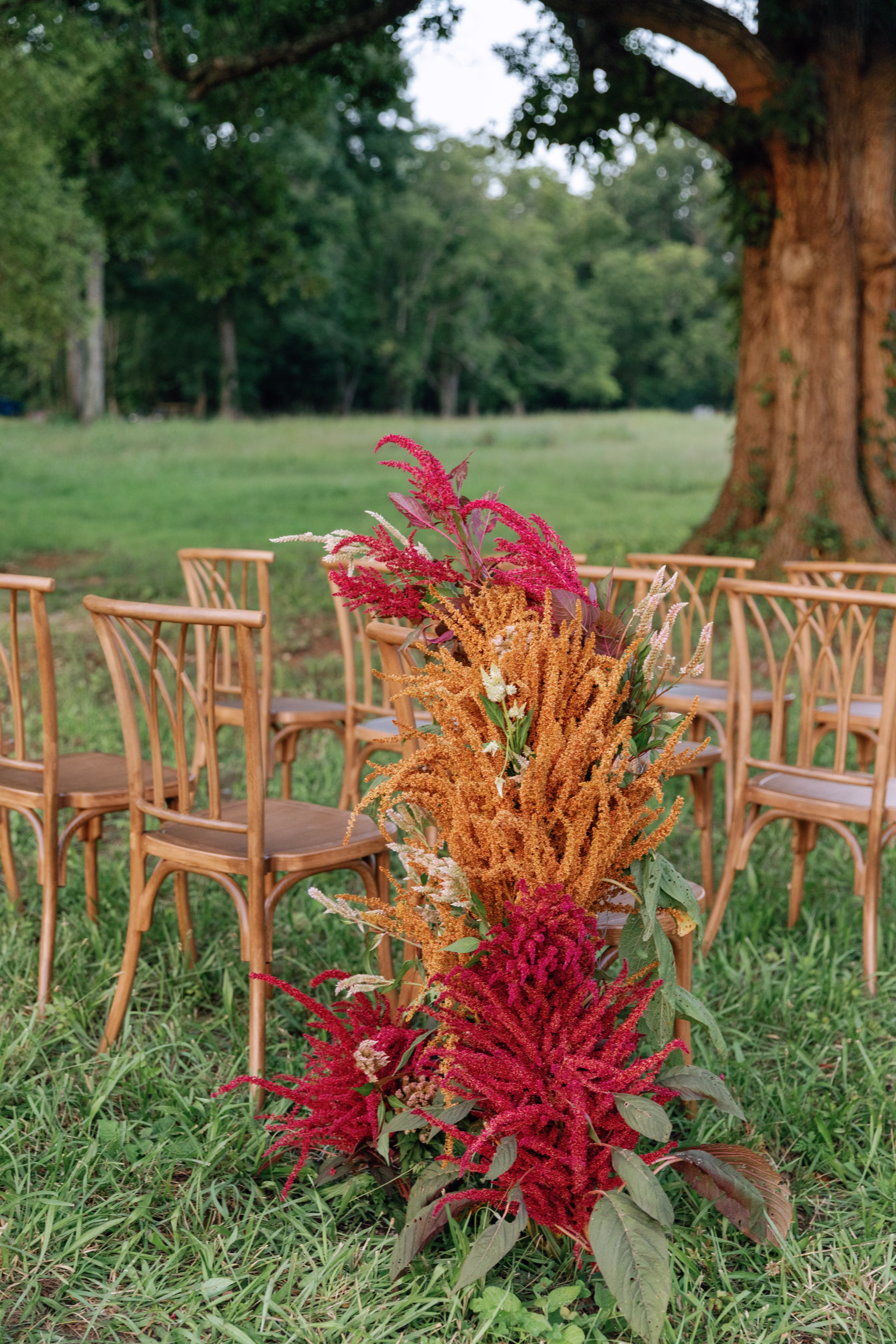 arrington meadows retro wedding inspo ceremony Darien Photography 053 - Retro Inspired Wedding Editorial at Arrington Meadows Arrington Meadows Retro Wedding Inspiration Nashville Bride Guide