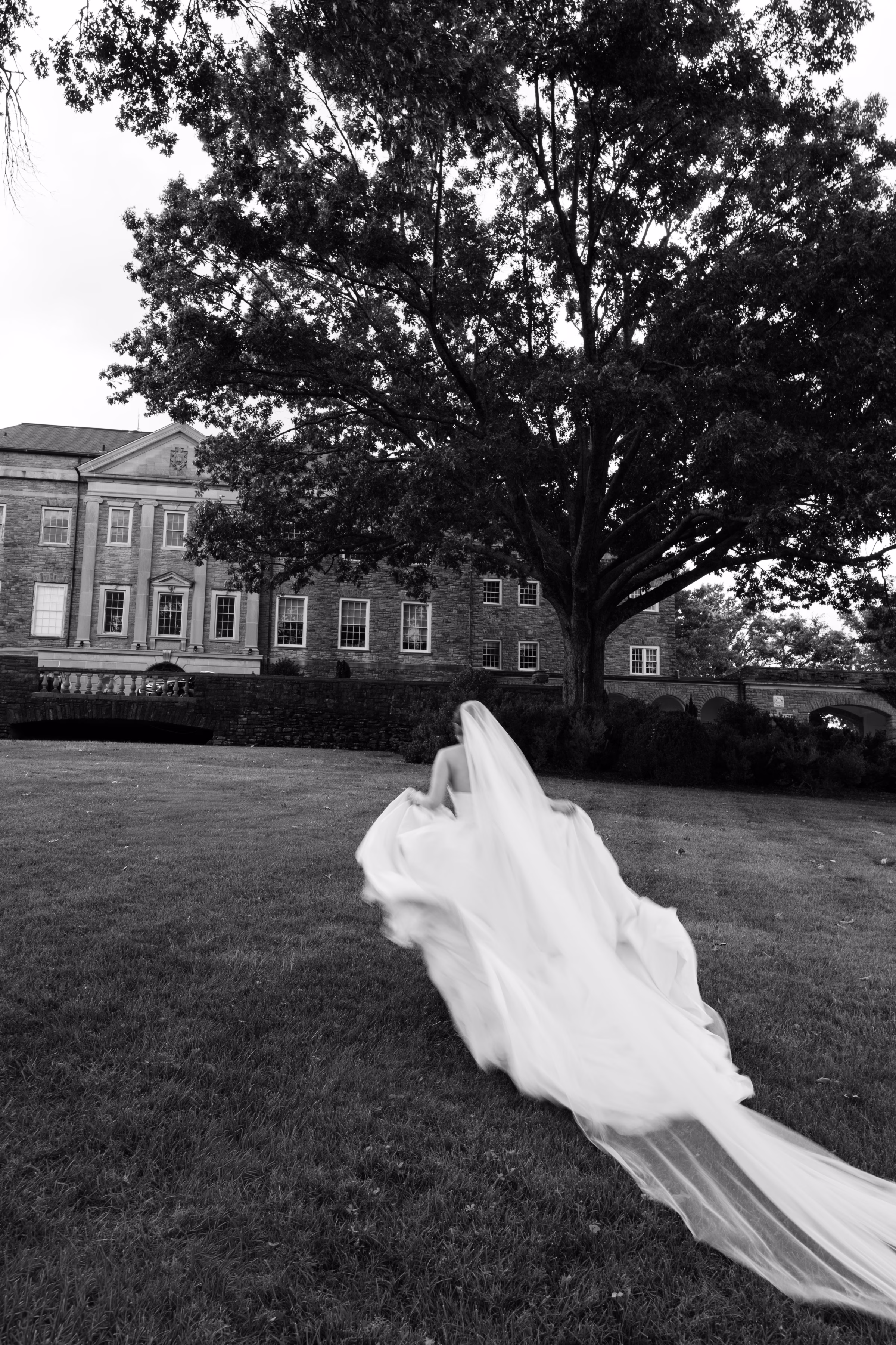 Cheekwood Estate Wedding Lrow Photography 0526 2 - Pride and Prejudice-Inspired Nashville Wedding Pride and Prejudice Inspired Nashville Wedding at Cheekwood Estate